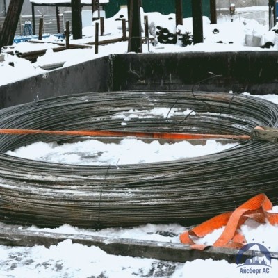 Проволока овальная 0,22х0,3-1-55 ГОСТ 3875-83 купить в Якутске